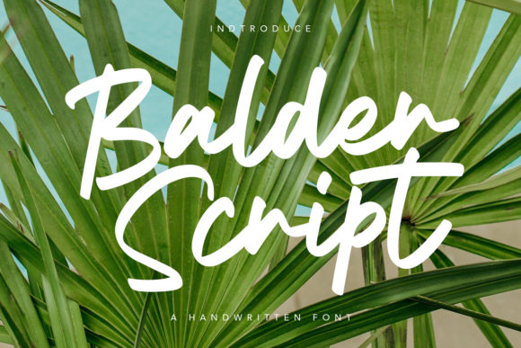 Balder Script: A Typeface for Elegant Editorial Design