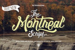 Montreal Script: A Typeface for Bold Branding