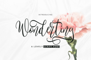 Wonderting Script: A Designer’s Practical Review